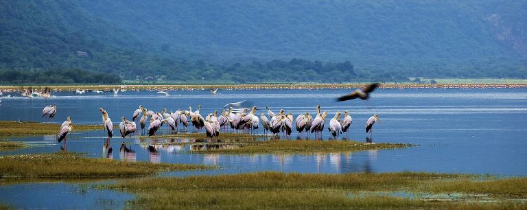 Lake Manyara National Park
