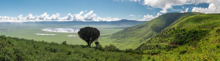 Ngorongoro Conservation Area