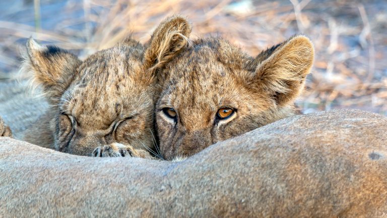 Katavi National Park